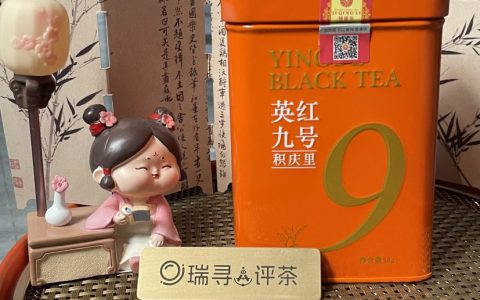 积庆里红茶英红九号：蜜香、汤色、耐泡度全拆解