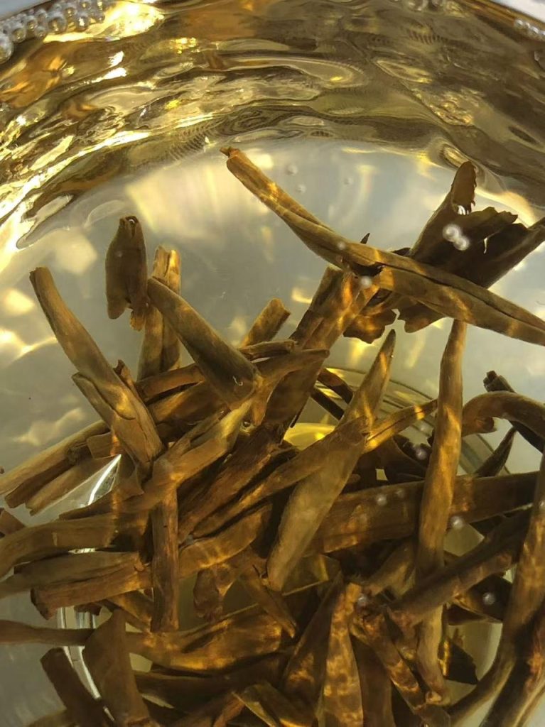 金针红茶专业评测：身体比嘴巴诚实