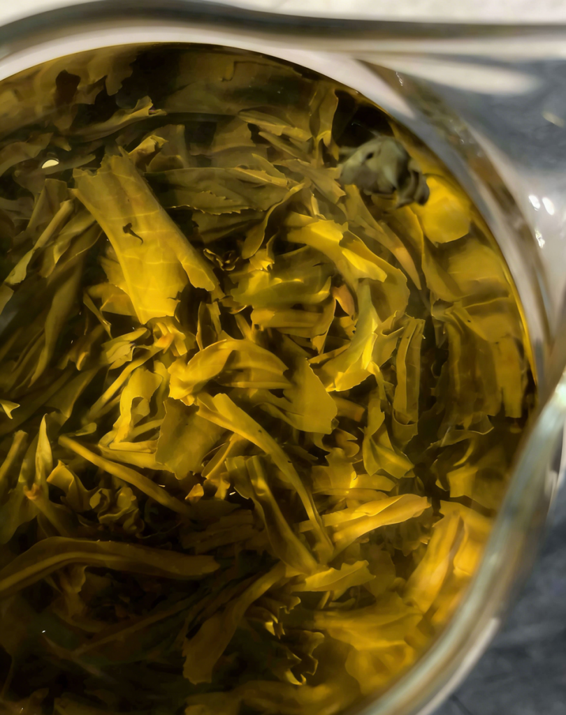 被一杯茶“骗”到福州,值吗?