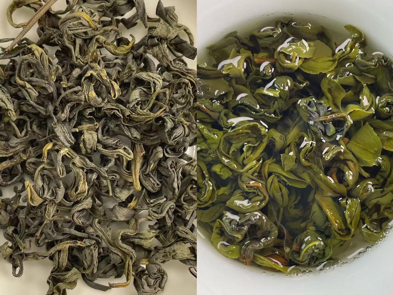 三款口粮绿茶喝了几天，说点真实感受