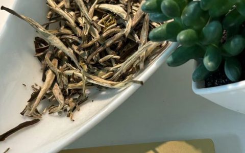 茉莉花茶入门，看这四款就够了