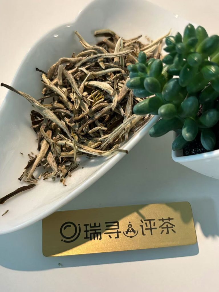茉莉花茶入门，看这四款就够了