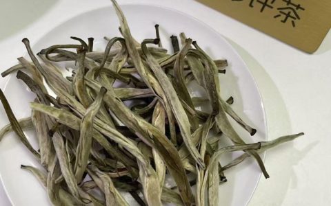 茉潮茉莉银针，我喝了半个月，跟你聊聊这款茶
