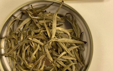 茉潮茉莉银针：一杯见茶不见花的八窨诚意