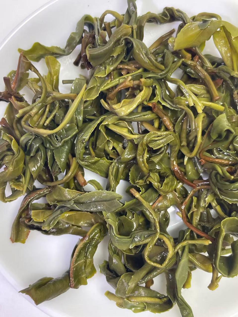回购半年的口粮茶：茶莉斯顿英德绿茶
