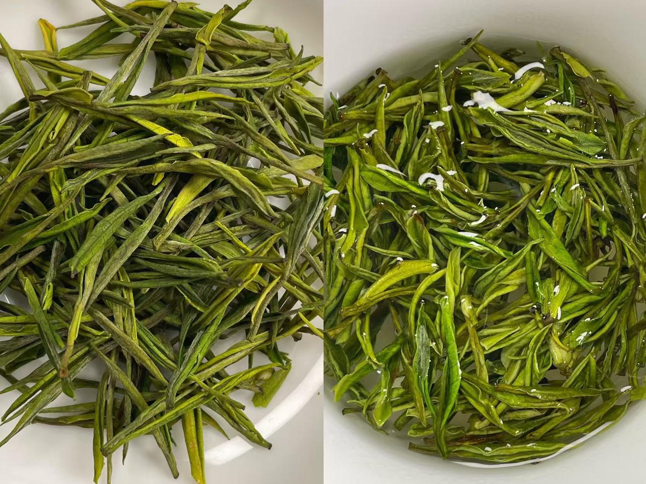三款口粮绿茶喝了几天，说点真实感受
