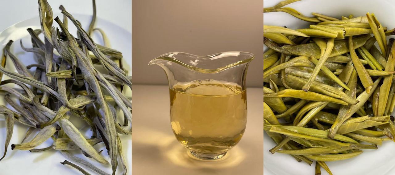 喝了这么多年茉莉花茶，我就认这三款