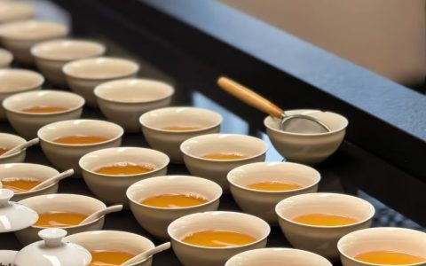 2026凤凰单丛十大品牌真实测评（附6000元实测数据+推荐榜）